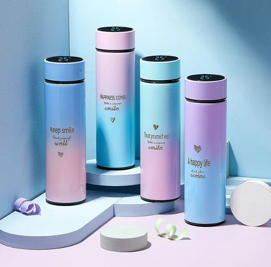 500ML Thermal Bottle with LED Temperature Display (Single)